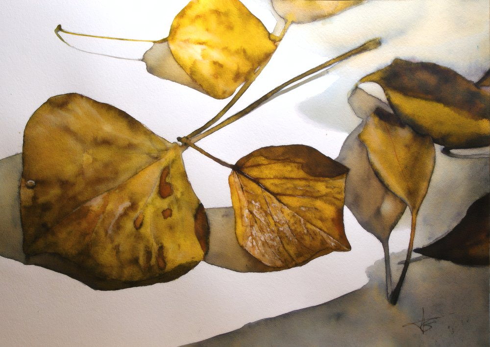 Polymorphe, aquarelle